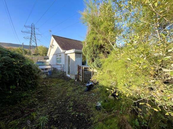 IMG_8105.JPEG