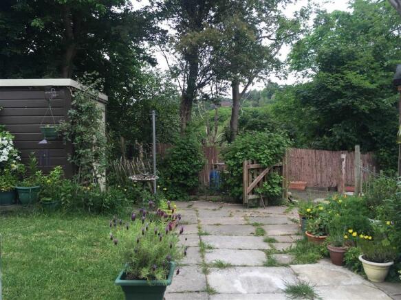 Photo 5