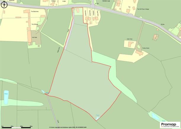 Promap-3594844-3694016.jpg