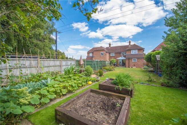 Vegetable Garden