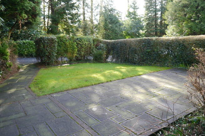 Photo 15