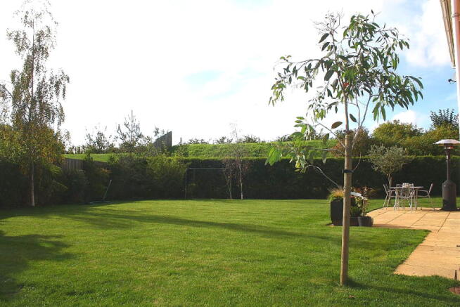 Photo 20