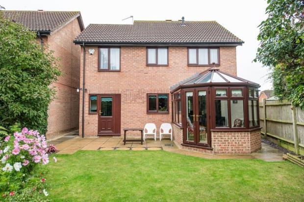 Picture No.23
