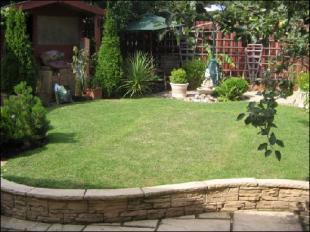 Photo 4