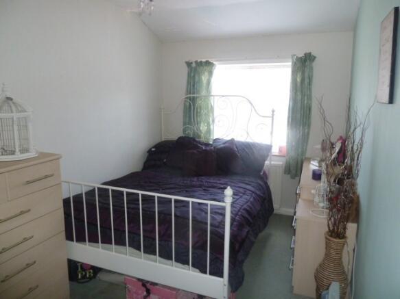 Picture 8