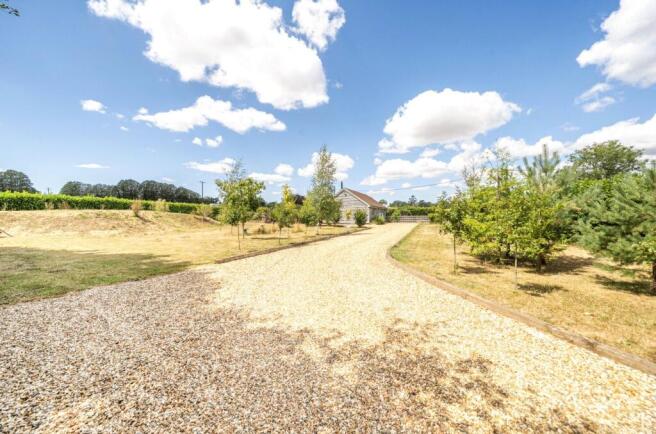 Driveway