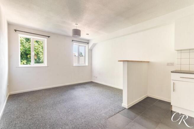 Kitchen/Living/Bedroom