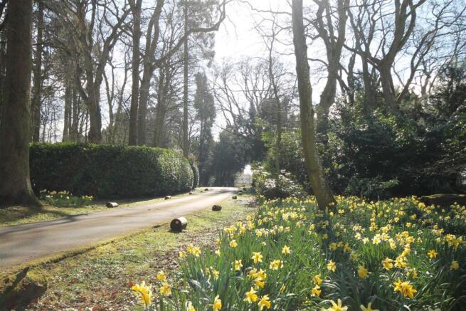 Entrance Road