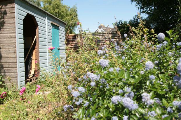 Garden Shed