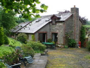Rear Aspect