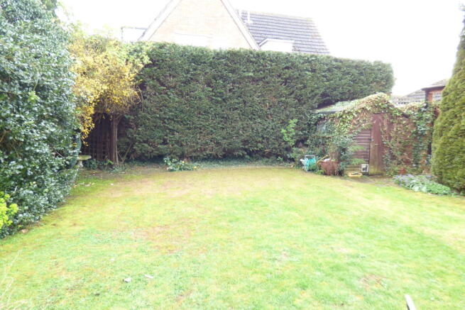 Photo 15