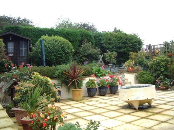Photo 6