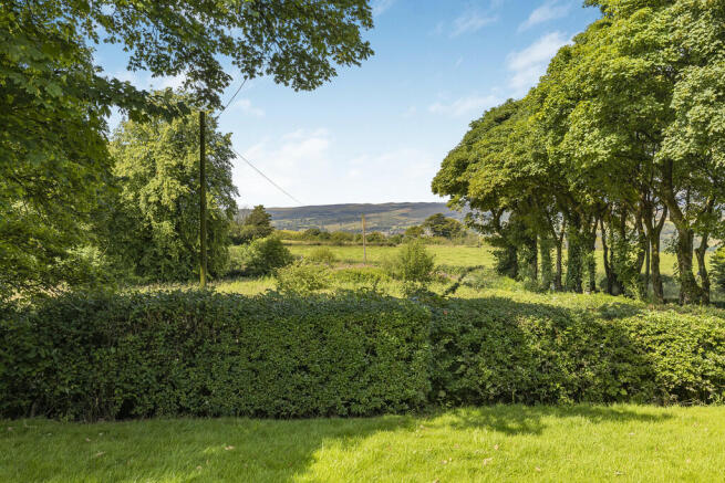 50-print-Hillcres...