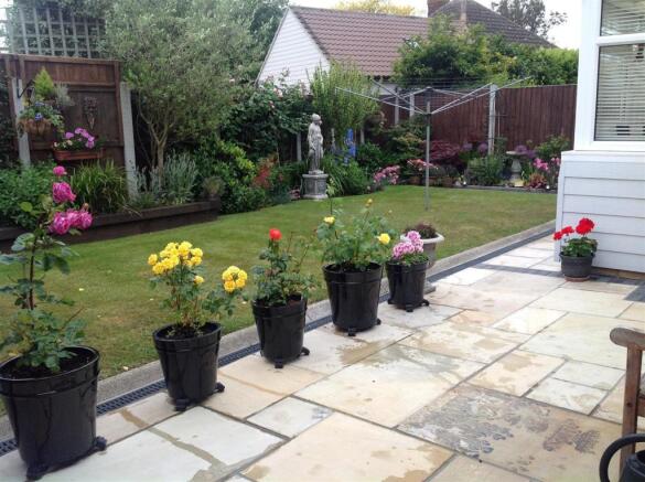 garden 4.jpg