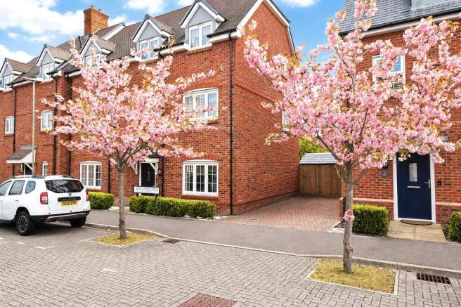 Picture No. 19