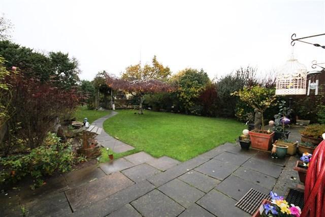 Back garden