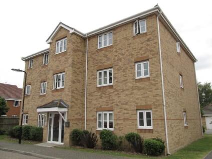 Hoddinot , Eastleigh