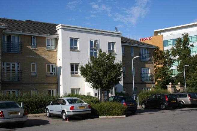 Photo 11