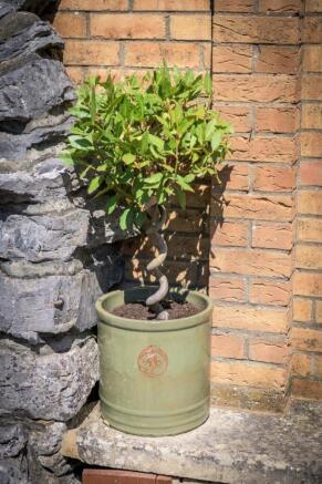 Photo 40