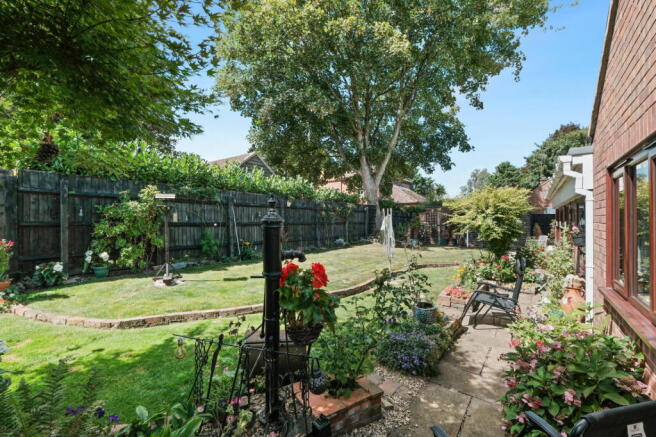 Photo 11