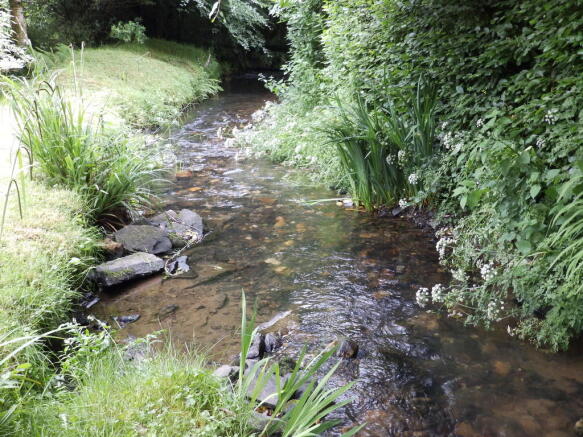 Photo 21