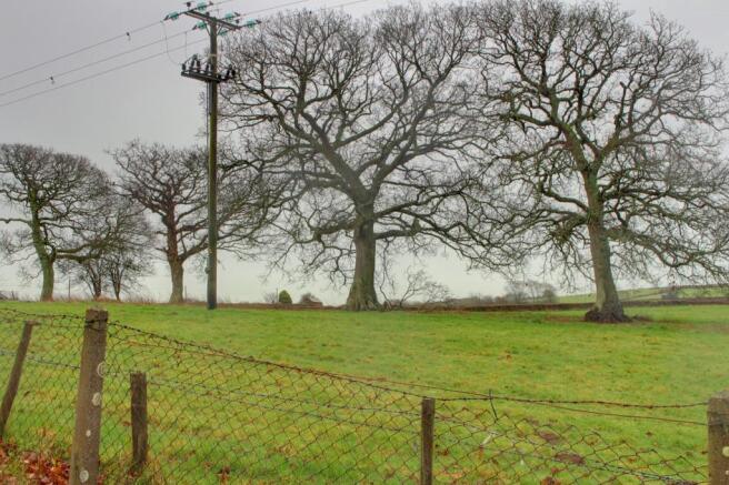 View from Property at Back
