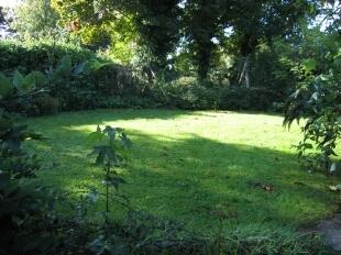 Rear Garden (2)