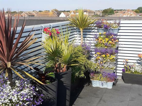 Rooftop Garden (taken summer 2022)