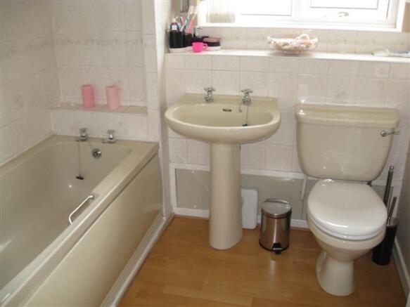 Picture 11