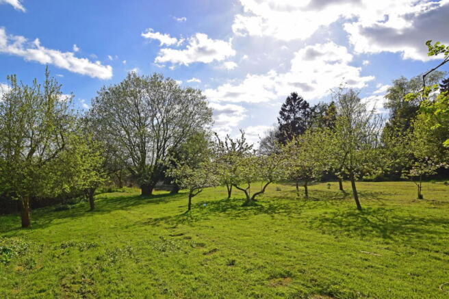 Photo 42
