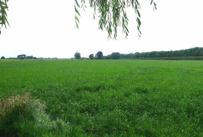 The Field