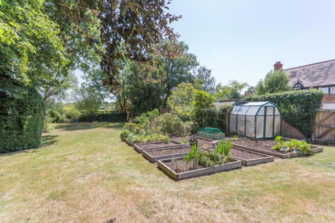 vegetable Garden