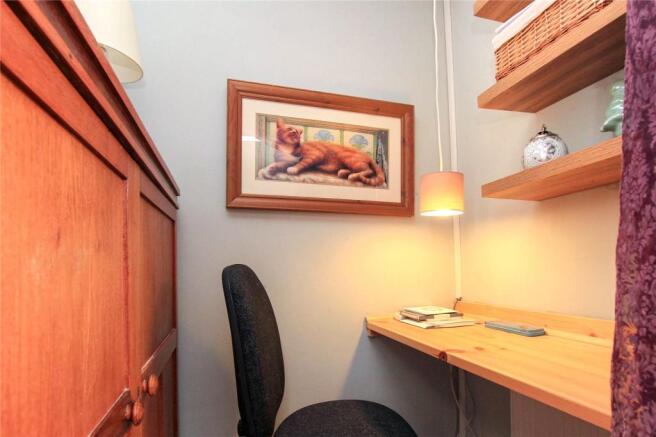 Study Area