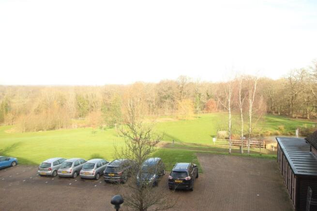 View from bed 1