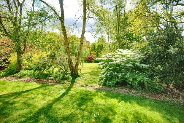 Garden Photograph