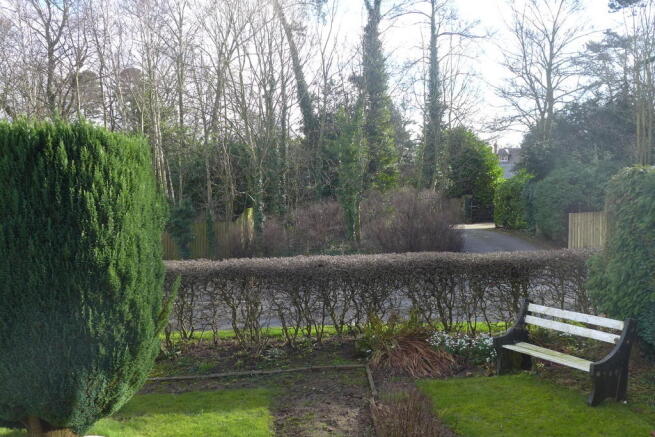 Photo 10