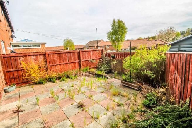 Rear Garden pic 2