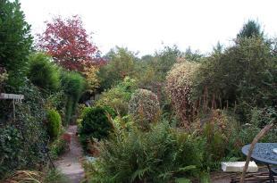 Photo 5