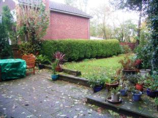 Garden2