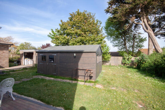 Back Garden