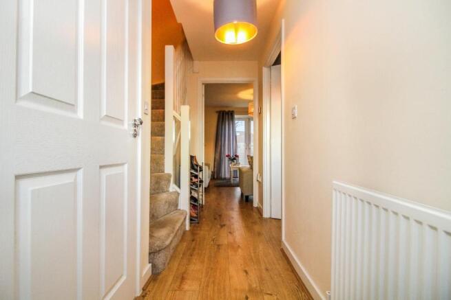 Picture 9