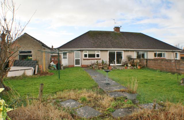 Back Garden