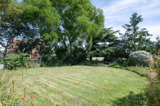 Garden at Back