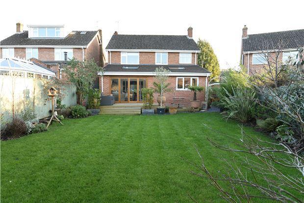 rear aspect