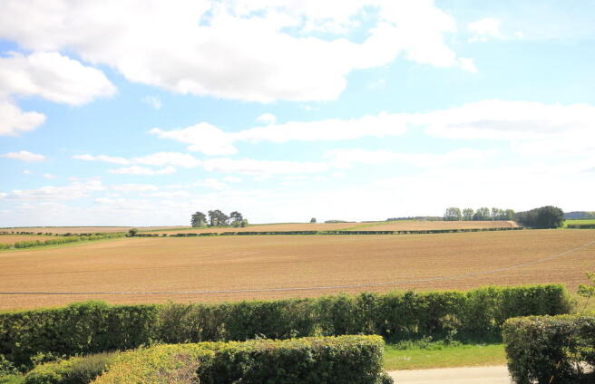 View to Front