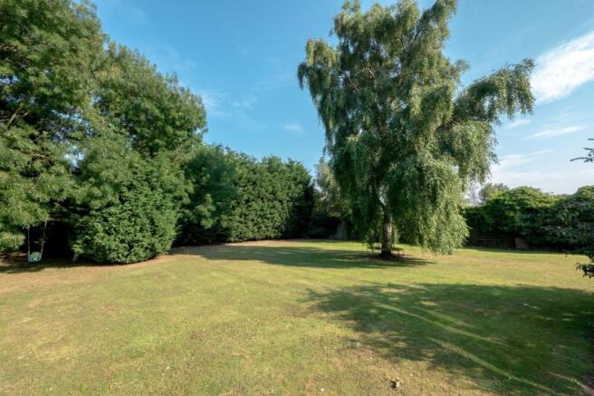 Grounds