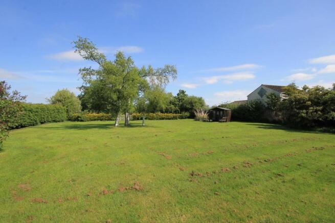 REAR GARDEN IMAGES