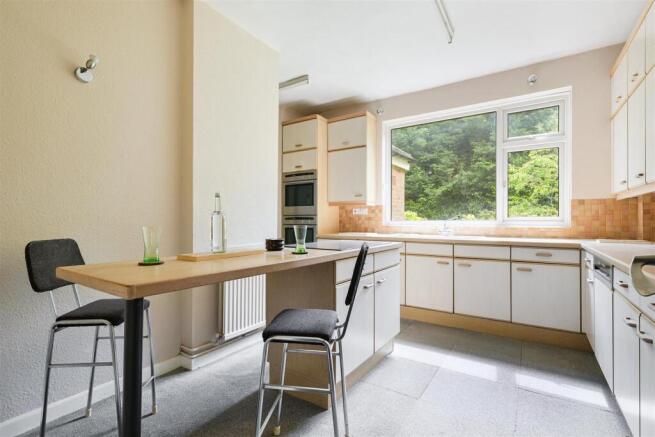 SILVER TREES- (1).jpg