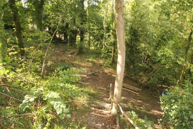 Wooded Area