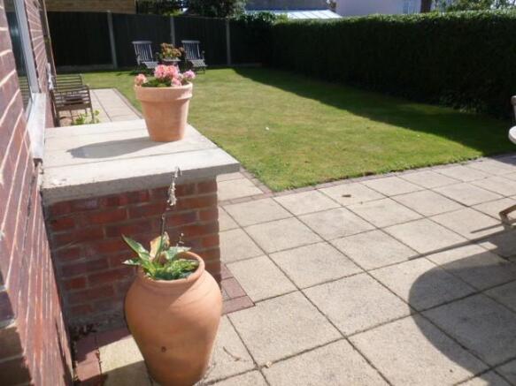 Patio Area